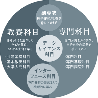 教養科目、専門科目、データサイエンス科目、副専攻、インターフェース科目