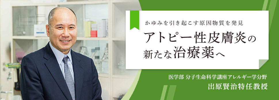 アトピー性皮膚炎の新たな治療薬へ