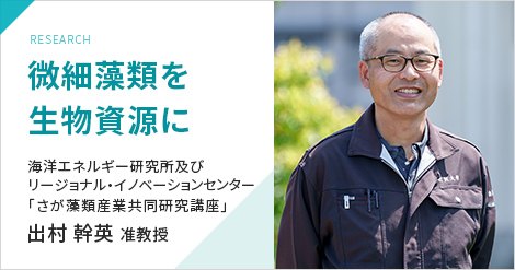 RESEARCH 微細藻類を生物資源に　海洋エネルギー研究所及びリージョナル・イノベーションセンター 「さが藻類産業共同研究講座」 出村 幹英  准教授