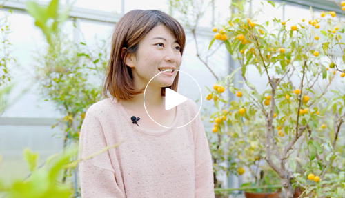 農学部 生命機能科学科 秋篠 美来