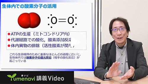 酵素をお手本にした金属錯体で効率よく活性酸素を分解｜佐賀大学 鯉川 雅之 先生