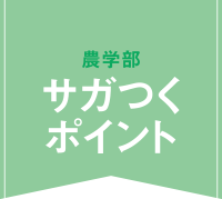 さがつくポイント