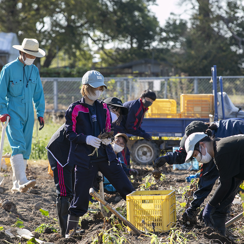 「アグリ創生教育研究センター」泥んこで収穫☆