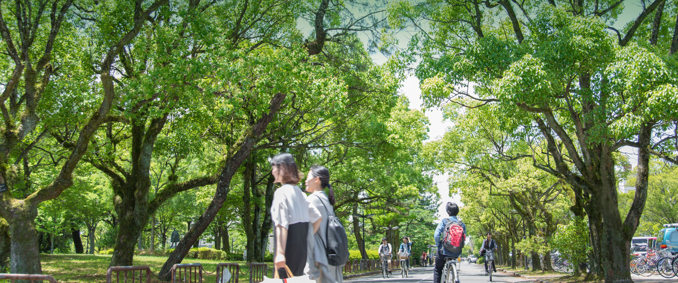 写真：佐賀大学