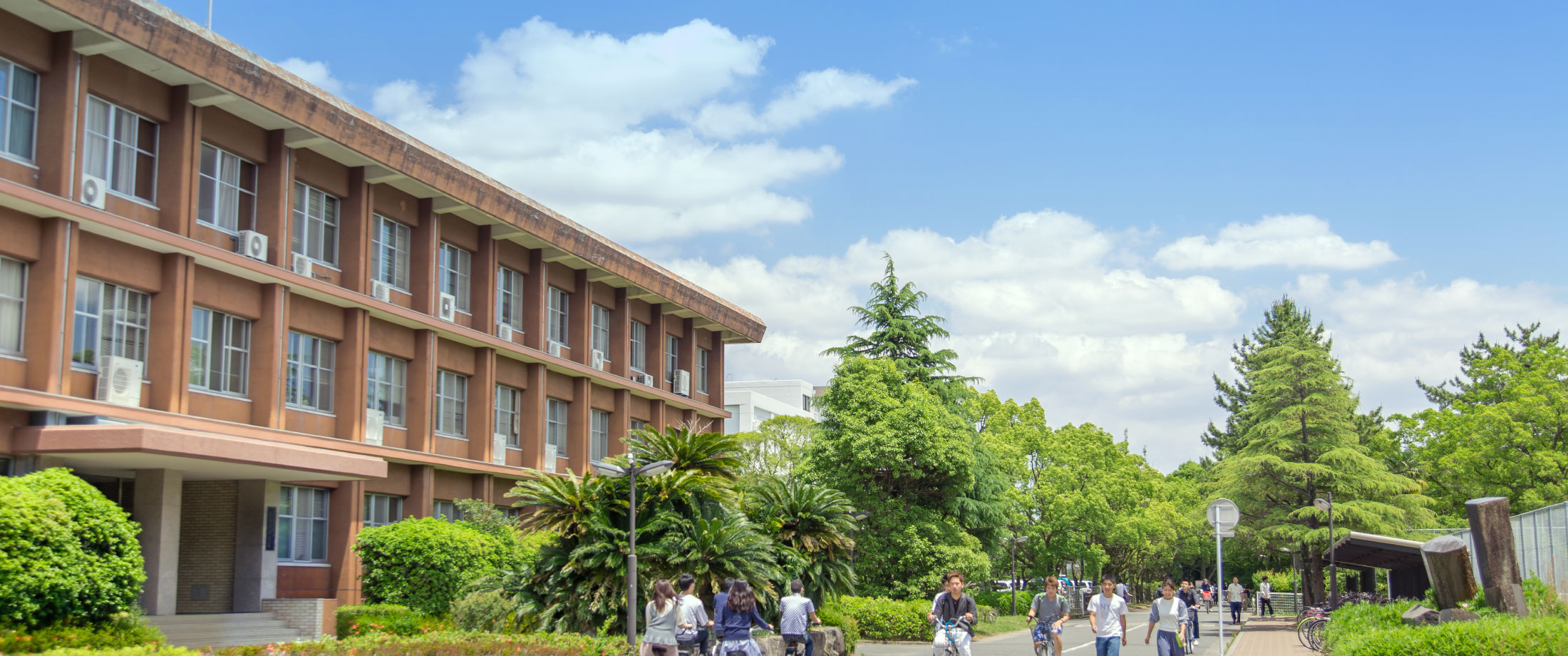 写真：佐賀大学