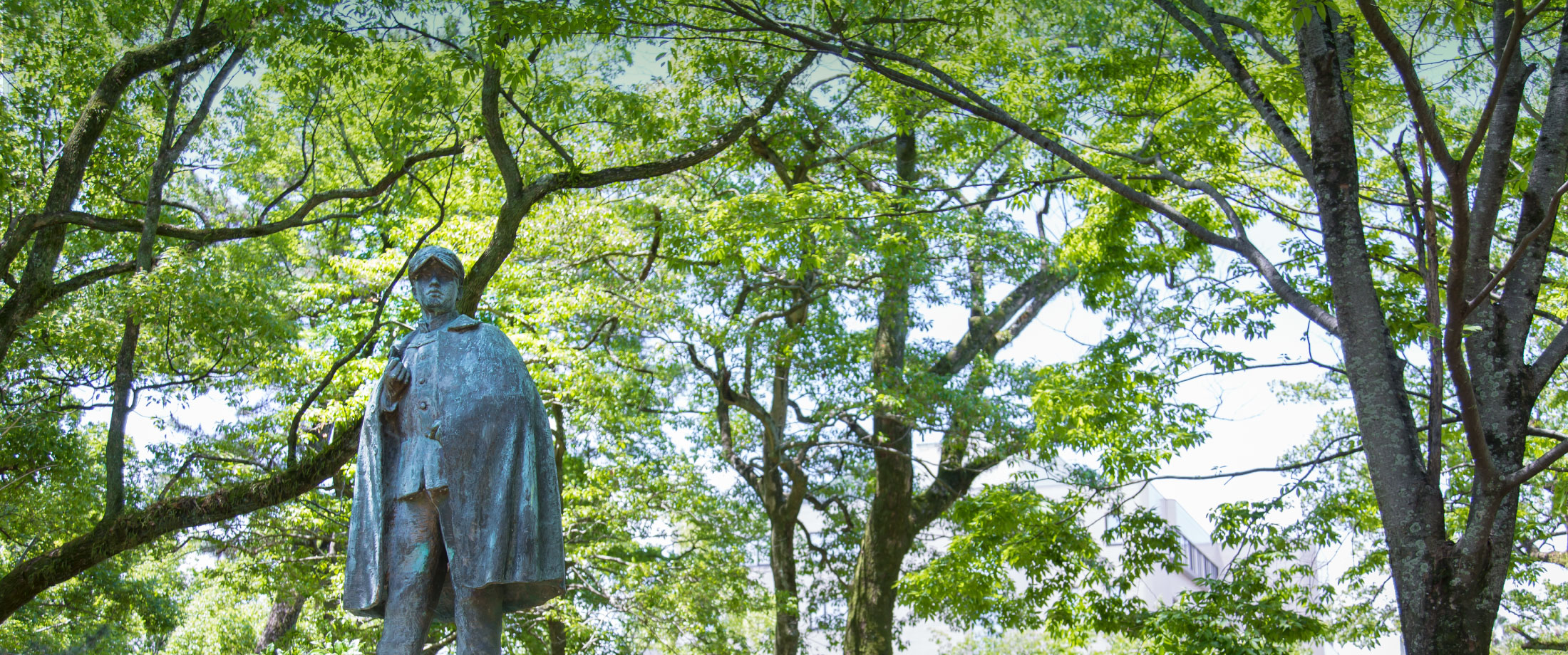 写真：佐賀大学