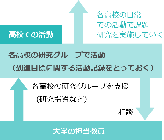 3年間のプログラムのイメージ