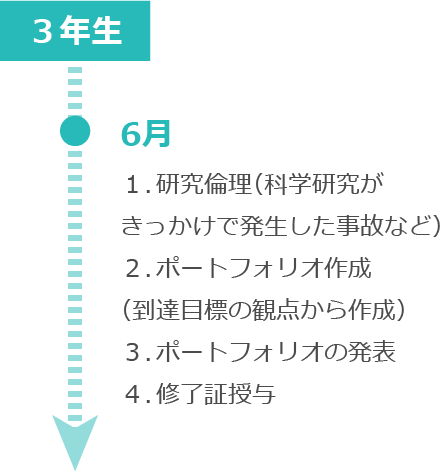 ３年間のプログラムのイメージ：3年生